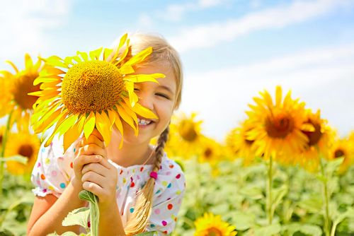 Child playing among the sunflowers.