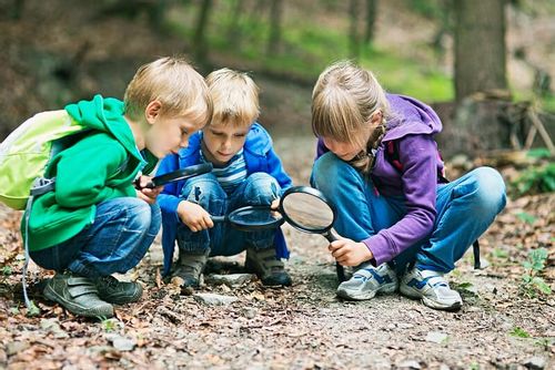 Three children with magnifying glasses looking for minibeasts in the mud