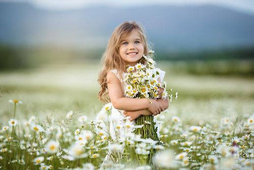 Little girl in a field of flowers holding a bouquet in her arms.