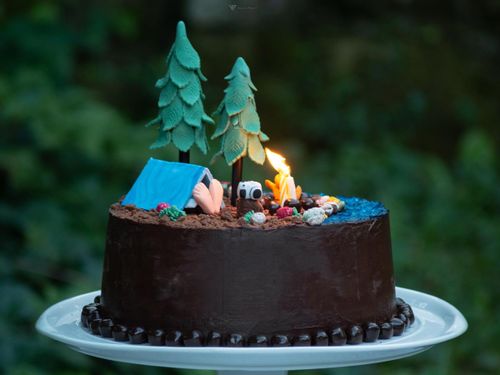 A chocolate cake covered in brown icing and decorated to look like the forest where the Gruffalo is set, fondant trees, plants and a tent sit on top of the cake. 