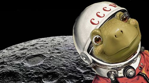 Tortoise astronaut wearing a helmet, posing with the moon in the background.