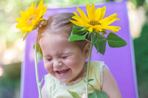 A young girl holding two sunflowers laughs at some spring jokes.