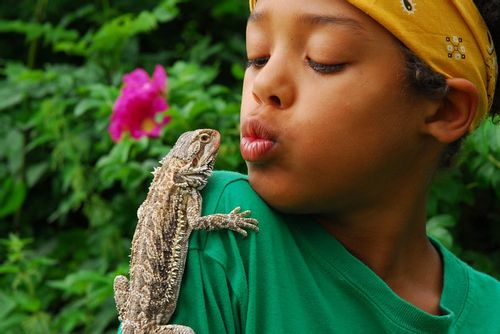 A lovely lizard climbing on the tshirt of a little boy