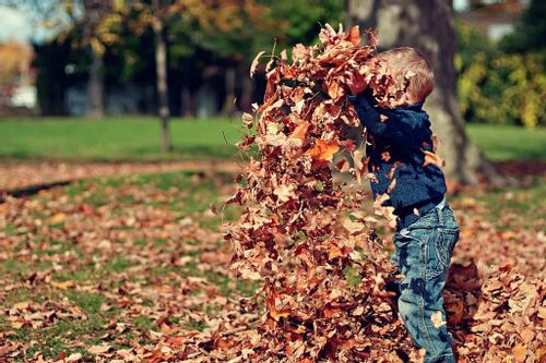 Young kids will love playing with the crunchy autumnal leaves in the parks and outdoor green spaces during half term.