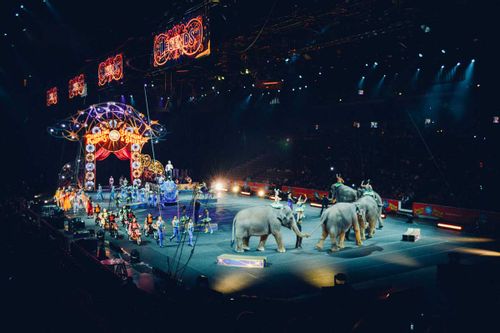 There are numerous fun and unique circus names.