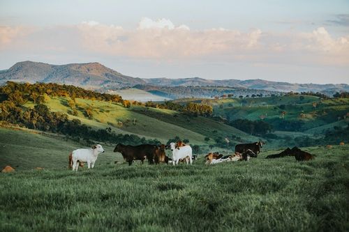 100-ranch-names-from-across-the-world-as-well-as-new-ideas-kidadl