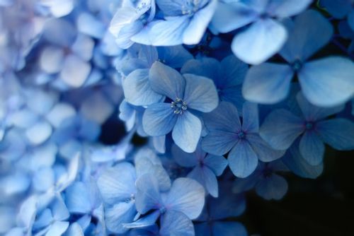 70-best-blue-quotes-that-are-beautifully-tranquil-kidadl