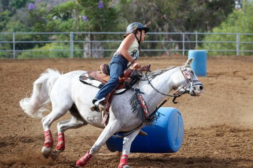 Find barrel racing quotes comparing to other sports here.