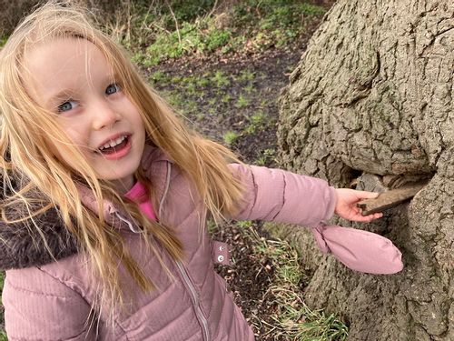Are there fairies at the bottom of your garden or local park?