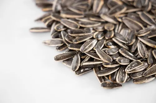 are shelled sunflower seeds bad for dogs