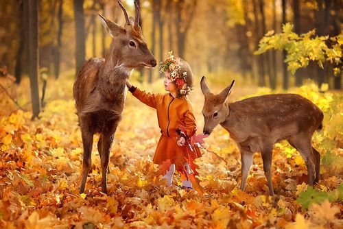A little kid petting deers in a maple forest