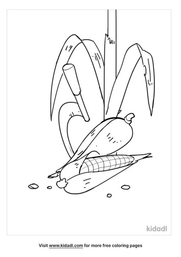 Farm coloring pages-4-lg.png