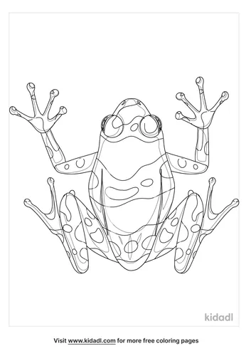 Poison-Dart-Frog-coloring-pages-4-lg.png