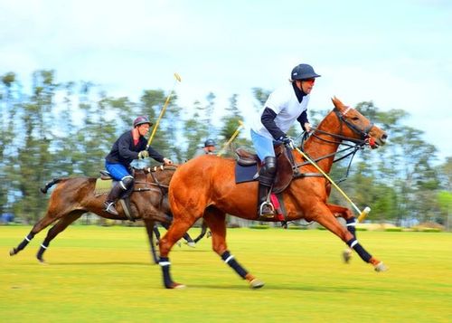 horseback riding polo