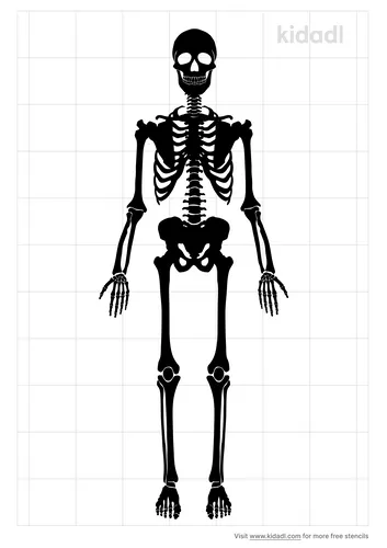 adult-skeleton-stencil.png