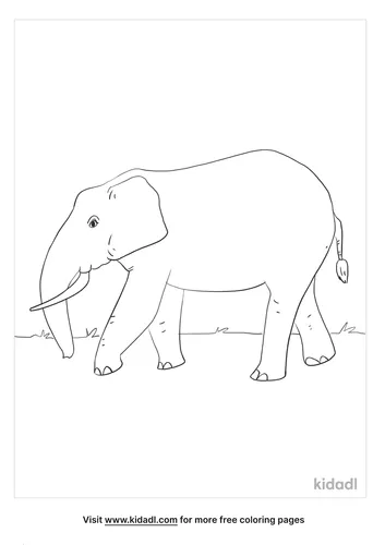african elephant coloring page_2_lg.png