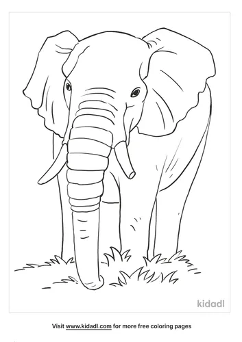 african elephant coloring page_4_lg.png