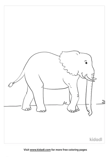 african elephant coloring page_5_lg.png
