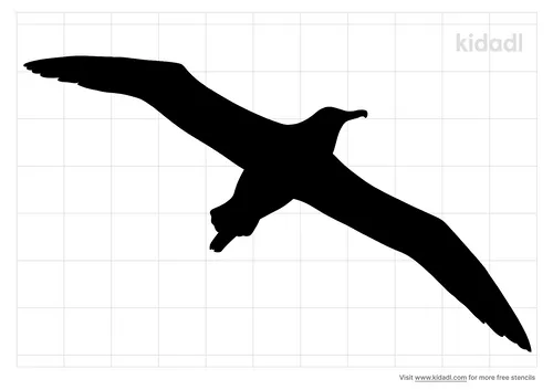 albatross-stencil
