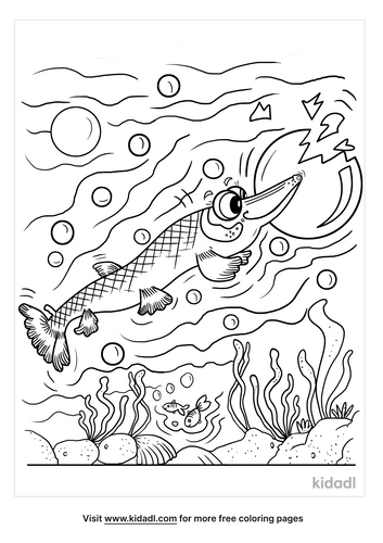 Alligator Gar Coloring Pages Free Fish Coloring Pages Kidadl