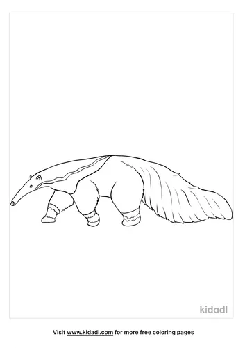 anteater coloring page-2-lg.png
