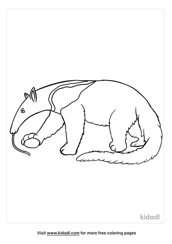 anteater coloring page-3-lg.png