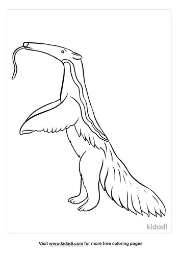 anteater coloring page-5-lg.png
