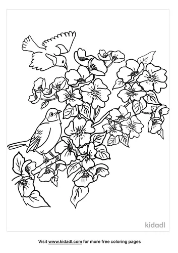 apple blossom coloring page-2-lg.png