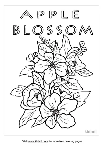 apple blossom coloring page-3-lg.png
