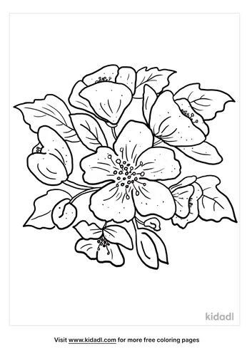 apple blossom coloring page-4-lg.png