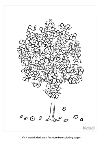 apple blossom coloring page-5-lg.png