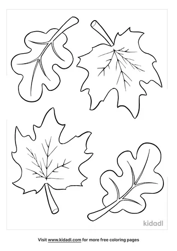 autumn leaf coloring page-5-lg.png