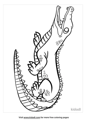 baby alligator coloring page-5-lg.png
