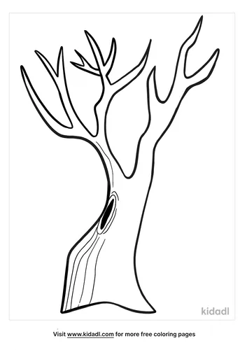 bare tree coloring page-2-lg.png