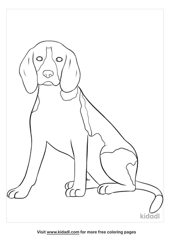 beagle coloring page-2-lg.png