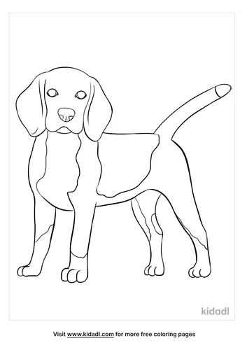 beagle coloring page-3-lg.png