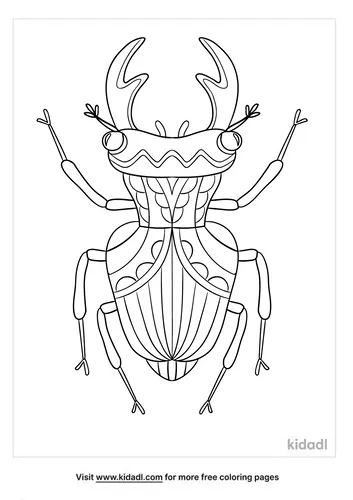 beetle coloring page-4-lg.png