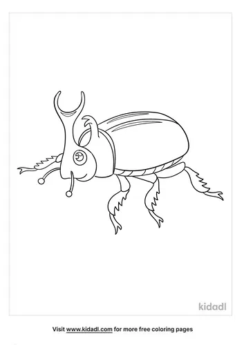 beetle coloring page-5-lg.png