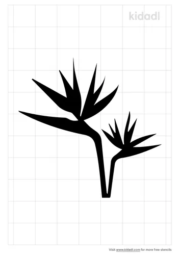 bird-of-paradise-flower-stencil.png
