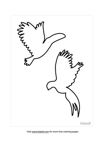 Bird Outline Coloring Pages | Free Birds Coloring Pages | Kidadl