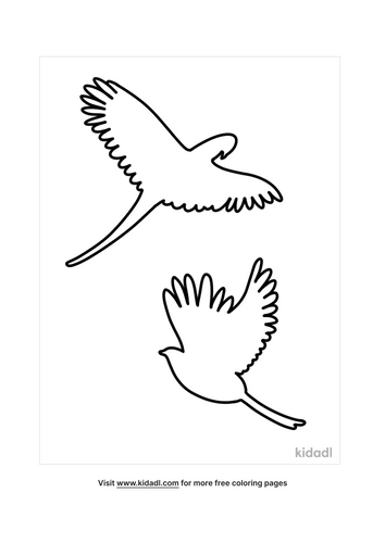 Bird Outline Coloring Pages | Free Birds Coloring Pages | Kidadl