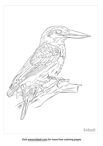 blue-eared-kingfisher-coloring-page