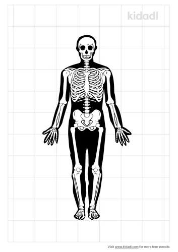 body-outline-with-bones-stencil.png
