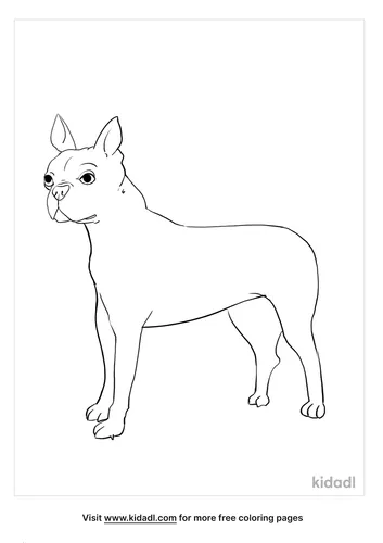 boston terrier coloring page_4_LG.png