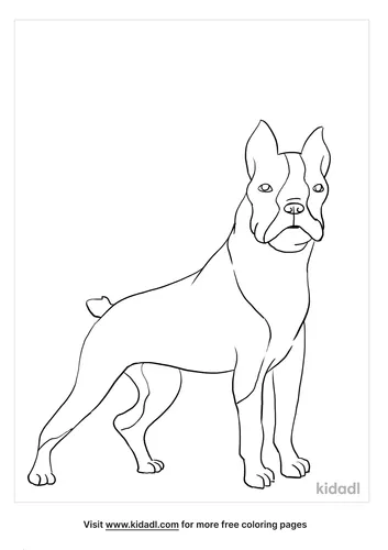 boston terrier coloring page_5_LG.png