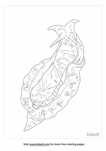 california-sea-hare-coloring-page