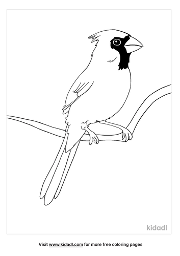 Download Cardinal Bird Coloring Pages Free Birds Coloring Pages Kidadl