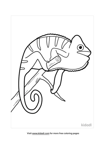 chameleon coloring pages-2-lg.png