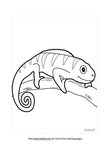 chameleon coloring pages-3-lg.png