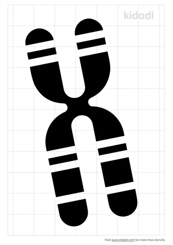 chromosome-stencil.png